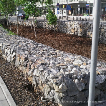 Chine Maille hexagonale galvanisée enduite de Gabion de PVC